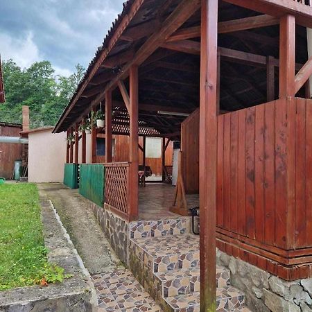 Отель Casa Jan B. Lorau Экстерьер фото