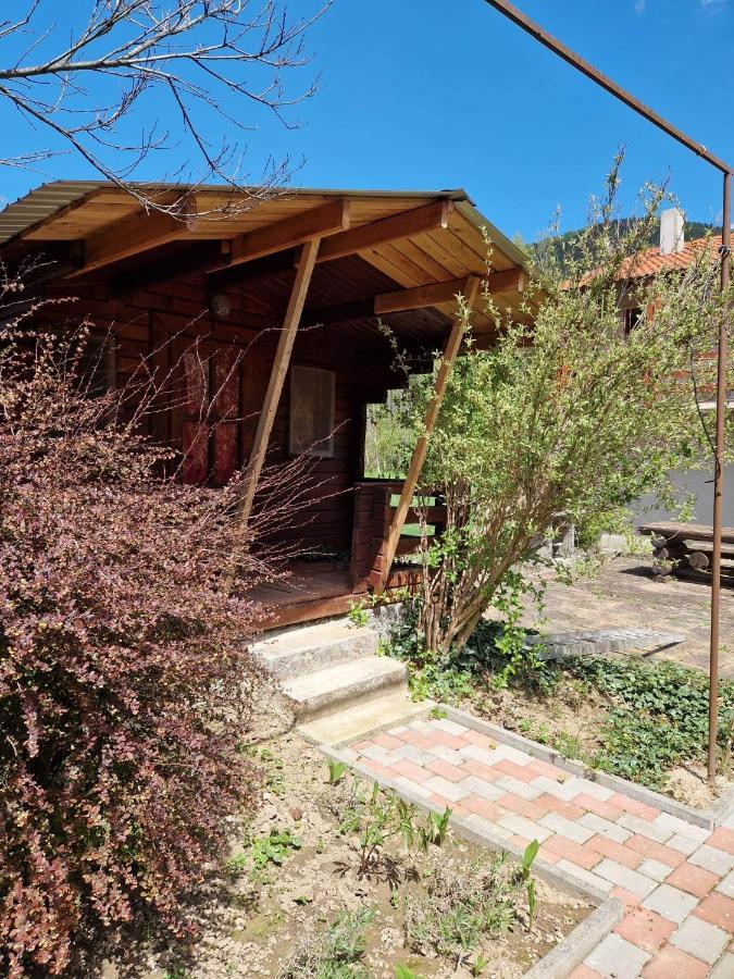 Отель Casa Jan B. Lorau Экстерьер фото