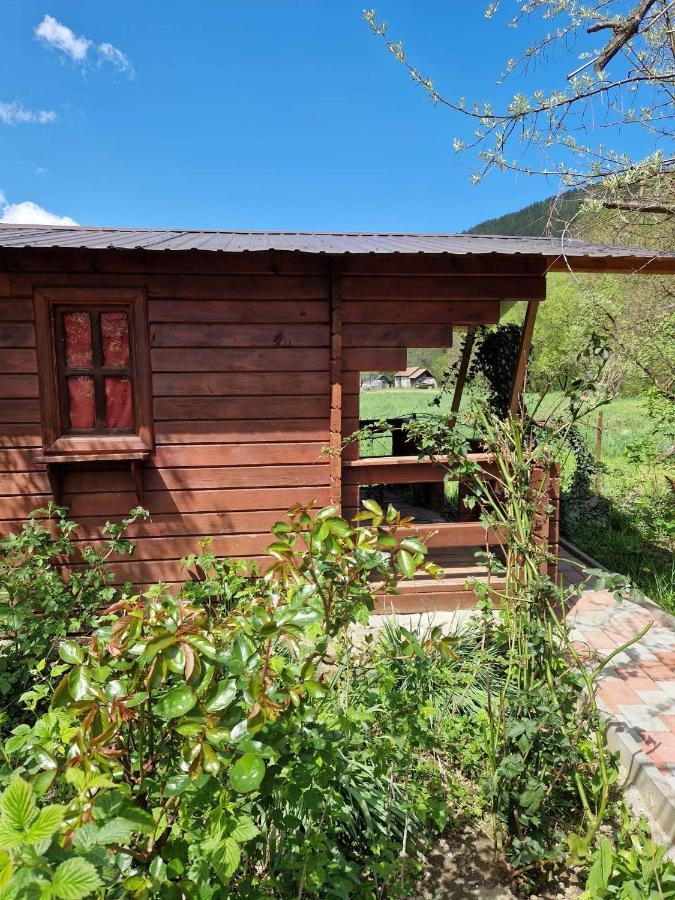 Отель Casa Jan B. Lorau Экстерьер фото