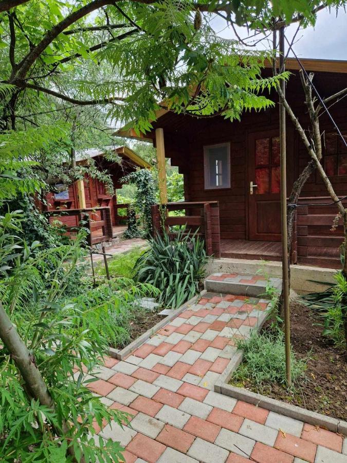 Отель Casa Jan B. Lorau Экстерьер фото